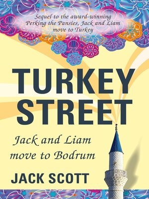 cover image of Turkey Street